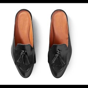 Everlane Black Leather Loafers